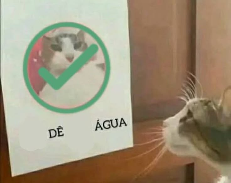 odeiootaco's tweet photo. ja bebeu agua? https://t.co/hsyeb4Z4Ay