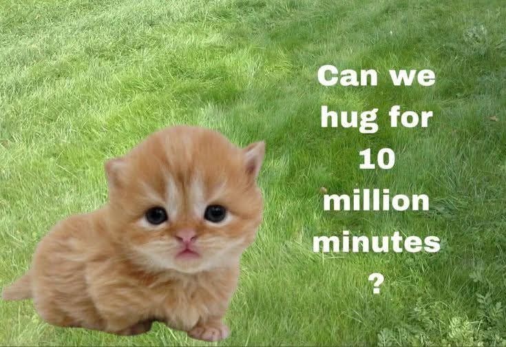 catontwt's tweet photo. https://t.co/87xI0VWaeH