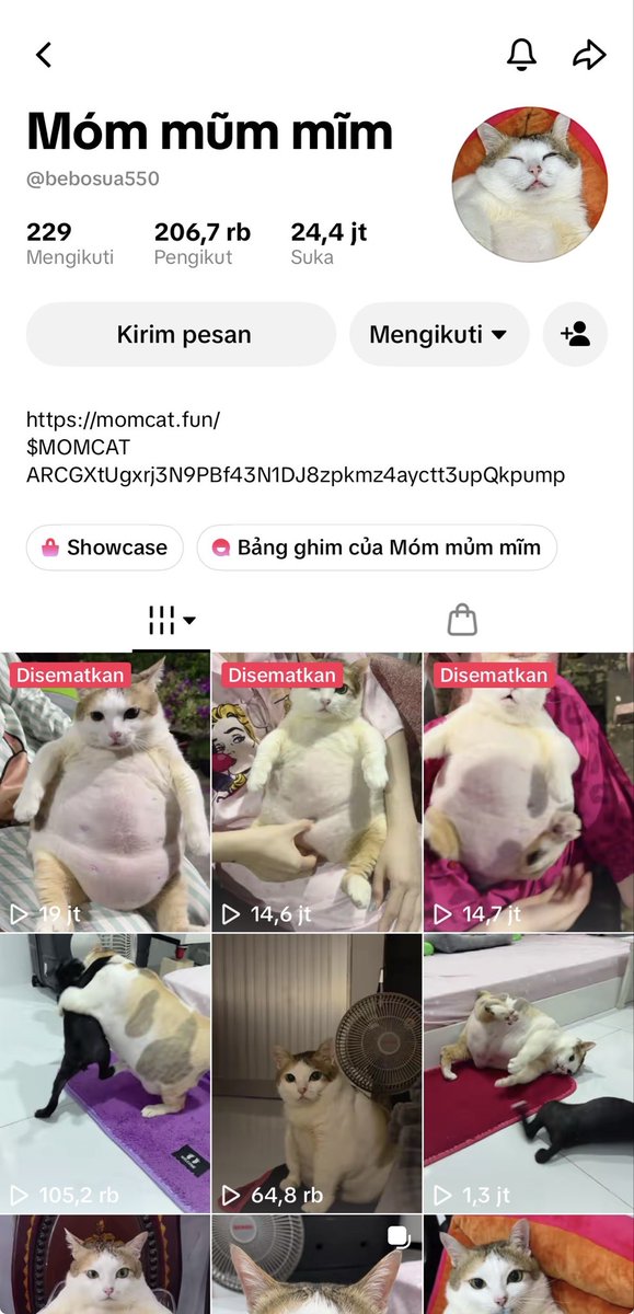 Pigcute_'s tweet photo. @S0Lmay0r Yo mayor just info 
$MOMCAT 8August will be a day for $cat so I guess this $momcat will next the runner ! 17,6% supply has burned! 
$MOMCAT a cat from $tiktok meta with 208K FOLLOWERS! ARCGXtUgxrj3N9PBf43N1DJ8zpkmz4ayctt3upQkpump https://t.co/Hv2sl1bSjT