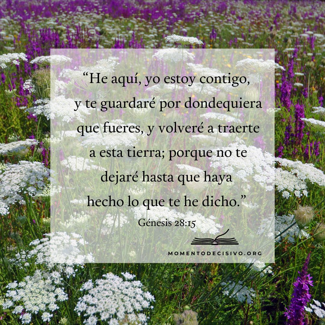 MOMENTODECISIV0's tweet photo. Al pasar a su rutina diaria, establezca a Cristo y Su Palabra como el centro de la vida de su hogar. Donde quiera que usted está, ¡Él está con usted! 

#MomentoDecisivo https://t.co/0tsM2v3VB7