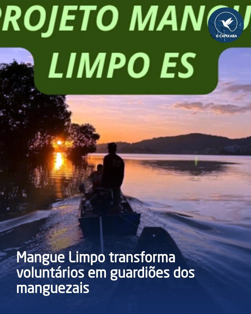 ocapixabaes's tweet photo. Projeto Mangue Limpo já removeu 20 toneladas de lixo dos manguezais! 🌿💧 Voluntários enfrentam desafios para cuidar desse ecossistema essencial. 

Leia a coluna de Tony Silvaneto em O Capixaba.

#manguezais #preservacao #ocapixaba

https://t.co/TyaV0ABRXQ https://t.co/pRmDvHFH3V