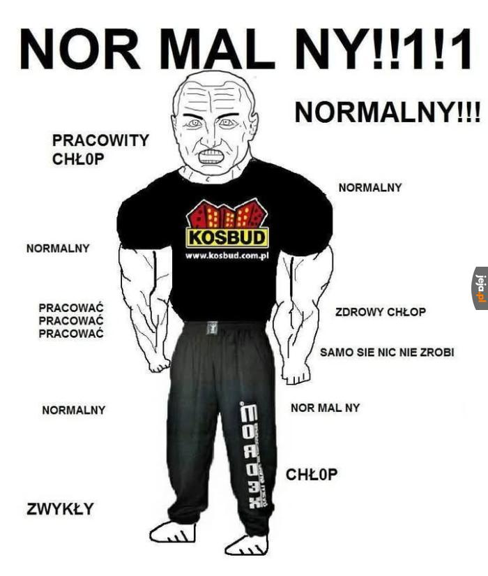 koneser_misia's tweet photo. "zwykły Polak zachwycony" https://t.co/CQKZDn81RP