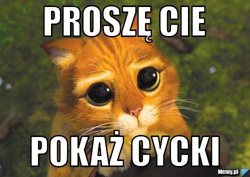 MaxMateuxARD's tweet photo. @spokoojulkaa 🥹 🥹 🥹 https://t.co/lvxSzS6MuL