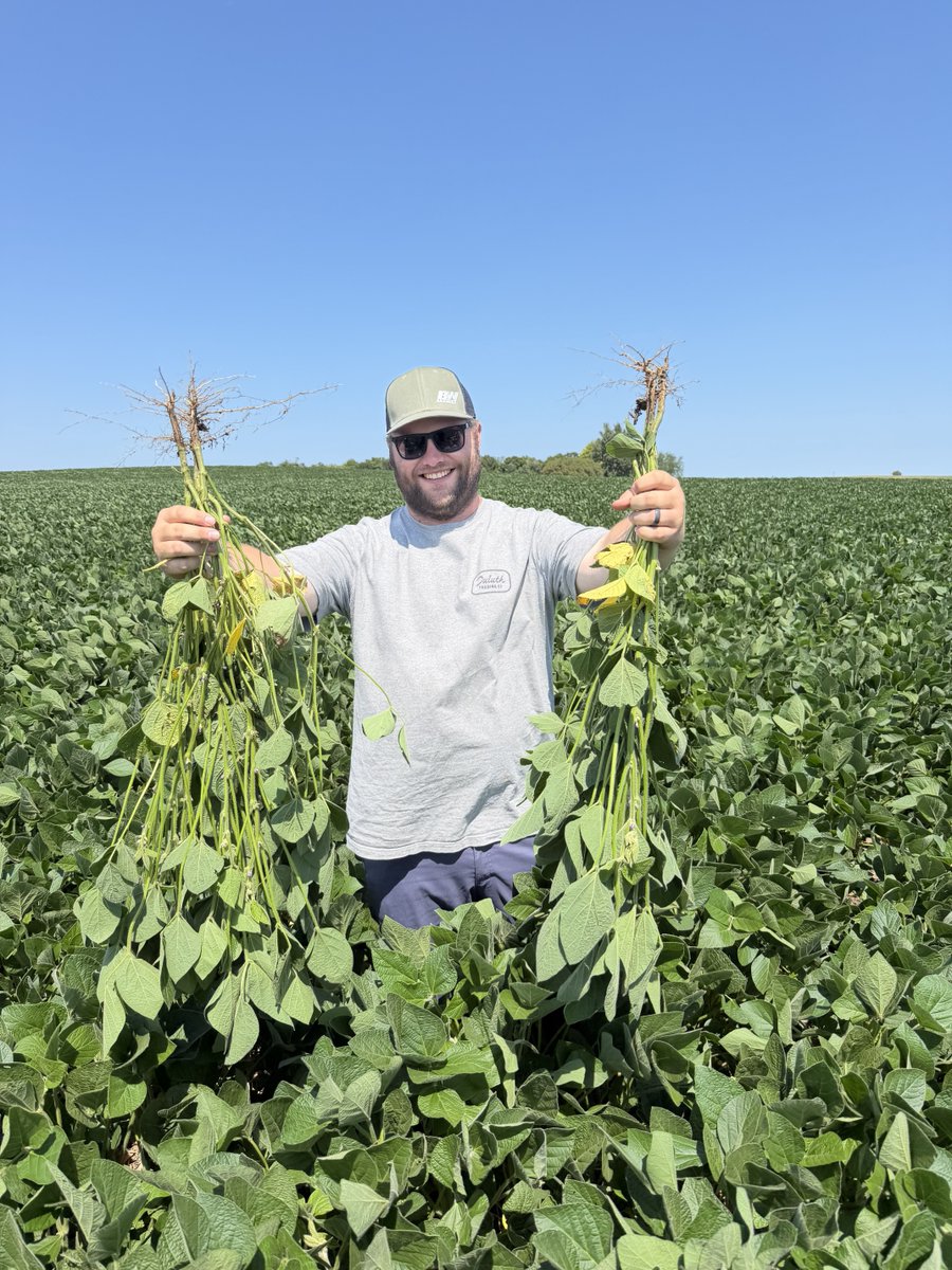bw_fusion's tweet photo. Warning: Some results will cause you to smile from ear to ear! This trial was one.

Stem diameter up 30% in one field, 20% in the other — treated vs. untreated.
And it showed. 

📍 Minnesota https://t.co/LvejM9mkzE