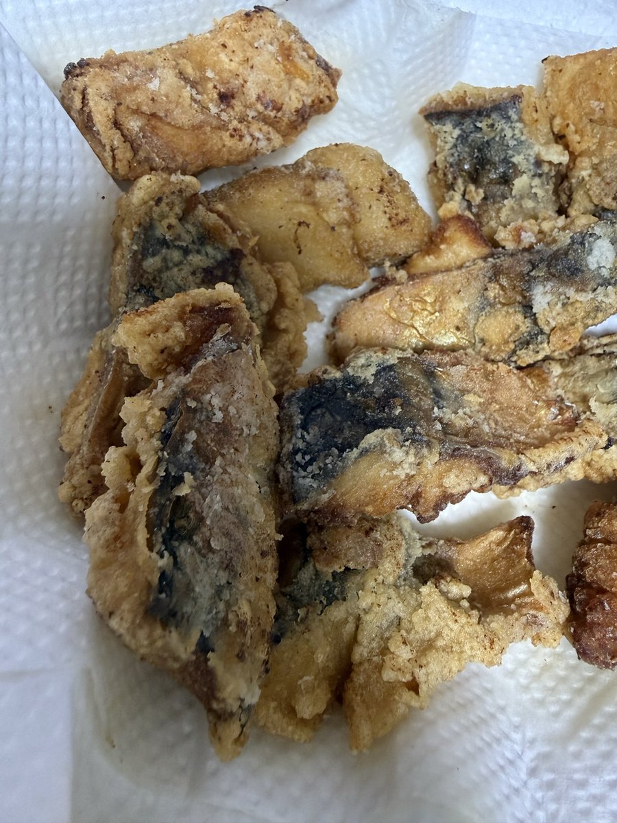 Rino8192's tweet photo. 今日は鯖の竜田揚げ！
冷凍庫に鯖しかない！！当分鯖生活🥹 https://t.co/tnnNAdH8q5