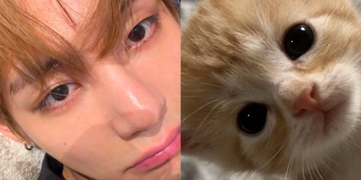ianjeonkuk's tweet photo. gemes banget ih yg kiri 😋 @thvrnm https://t.co/mvfskfMBx2