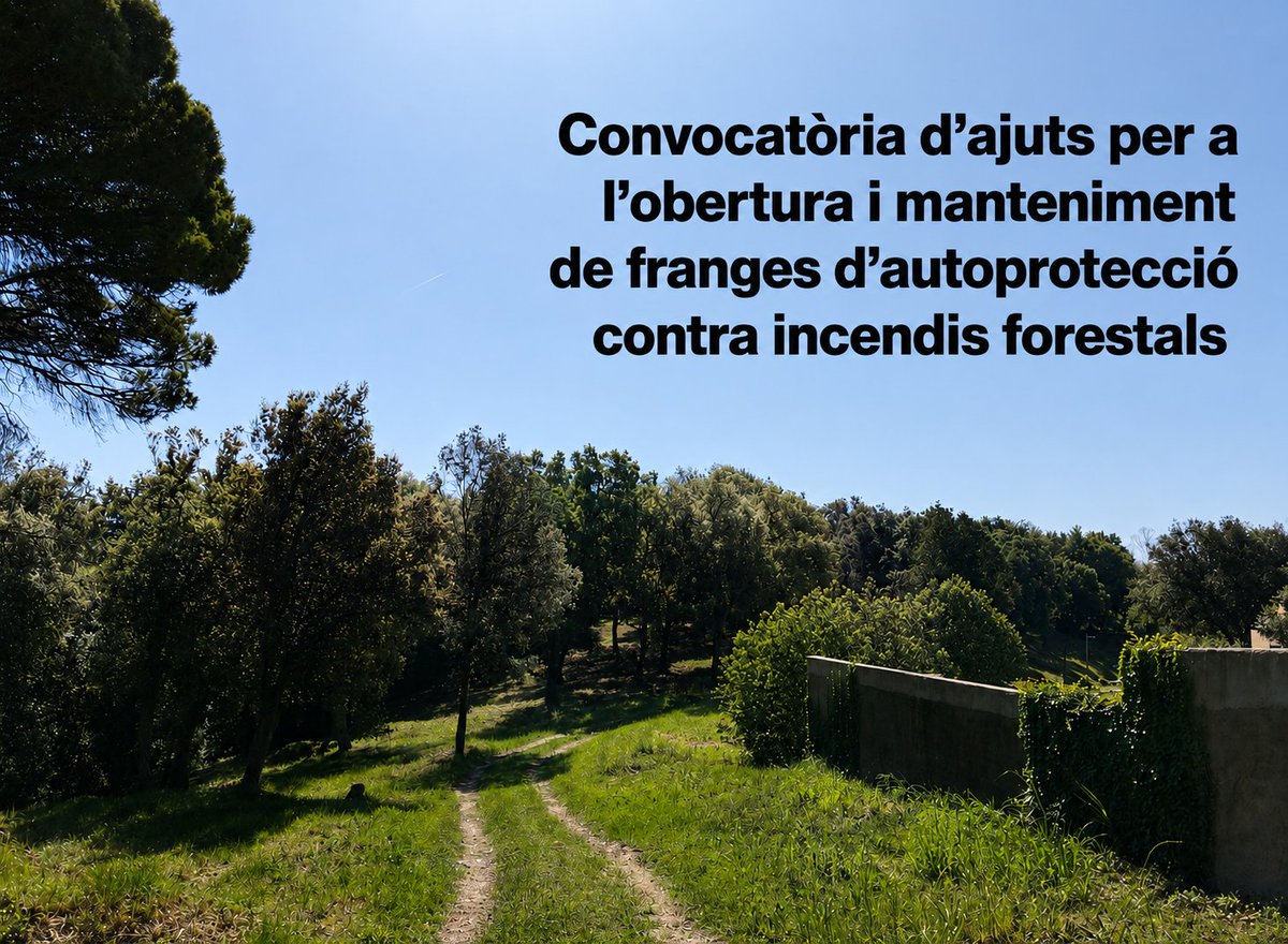 adfs_rurals's tweet photo. La Generalitat destina 15 milions per a l'obertura i manteniment de franges d'autoprotecció per a incendis forestals. Destaquem que s'amplien els terminis dels diferents tràmits.

+ info a https://t.co/xTEkg1ZSEB

#incendis #iiff #prevenció #ADF #ADFcat https://t.co/ZflqjPv2sB