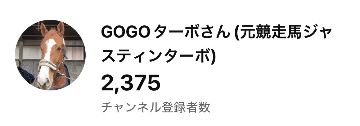 justinturb0420's tweet photo. ちょっと過ぎてしまいましたが、8/5でターボさんのYouTubeを開設して丸2年になりました！
全てが初めてだらけでいろいろ調べながらのスタートでした。
今日時点で登録者2375人と多くの方に登録していただき本当にありがとうございます！
最初は引退競走馬が飼い主夫婦の元で、幸せに暮らしてる様子を知ってもらえたらと思いYouTubeを始めました。
今はきっとターボさんを見て多くの方にそれが伝わったのかなって思ってます。
なかなか個人で馬を持つのは大変ですが、動画を見ていただければ分かるかと思いますが、それ以上の喜びや幸せがあります。
これからもたくさんの方に、競走馬を引退しても幸せに暮らしてる一頭のサラブレッドを知ってもらえたらいいなって思いながら動画は投稿は続けたいと思います。
これからも応援と少しでもターボさんの今後の備えとして収益化を目指してますので、一本でも多くの動画を見ていただけたら嬉しいです。
まだターボさんを知らない人に届くようにたくさんいいねやリポストしていただけたら幸いです。
よろしくお願いします🐴✨
YouTubeチャンネルはツリーに貼ってあります！