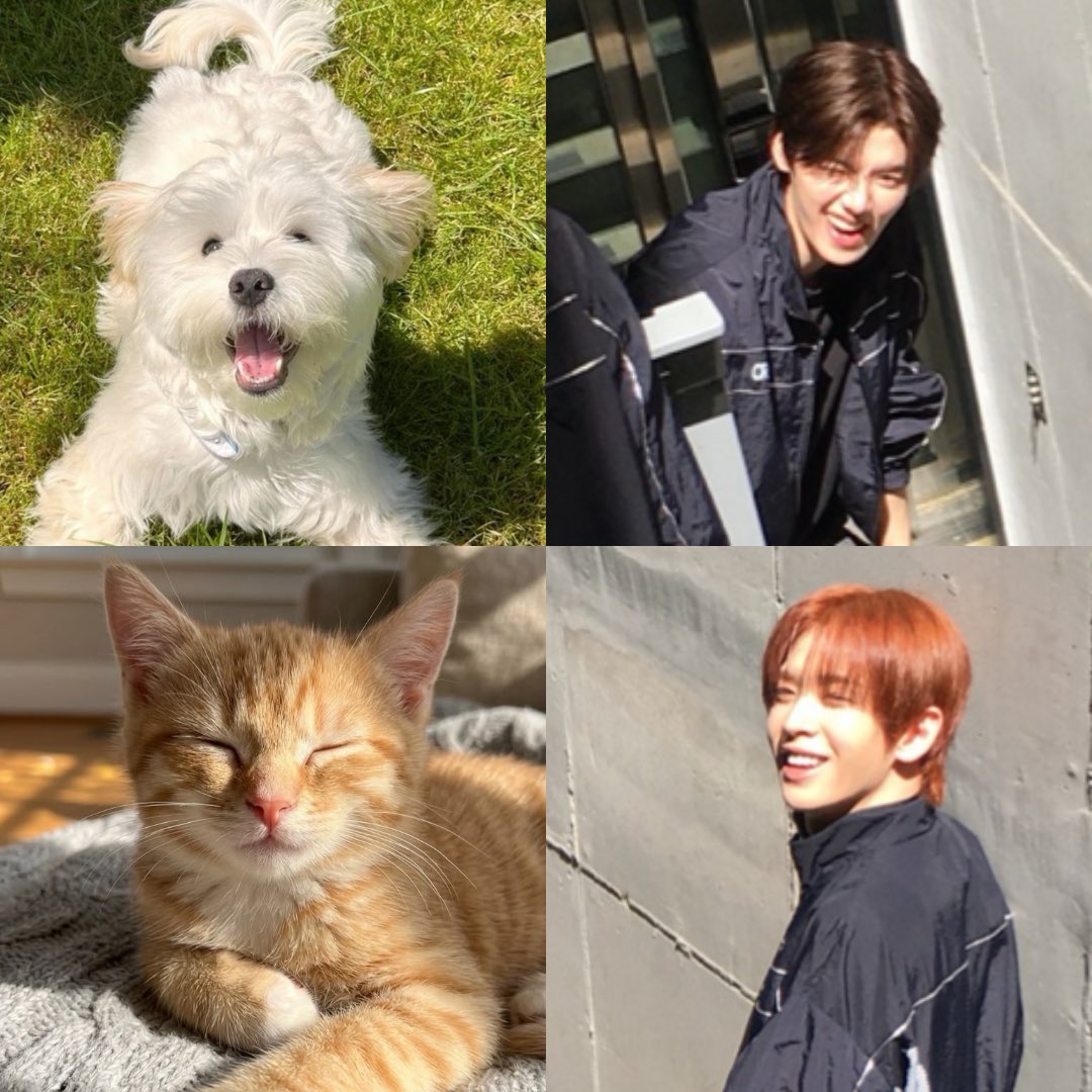 minillen1317's tweet photo. ค่ตเหมือนนนนนนนนนนนน 

#ดึลแอล ; #긍정즈 https://t.co/RmYV5VSWCL