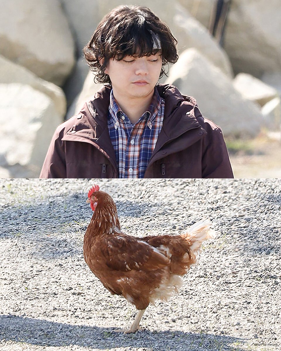 kokkyo_movie0's tweet photo. #染谷将太 さんの足元に、
ふらりと現れた共演者（🐔）

絶妙な間を保ったまま、
どこか気まずくて絶対に目をあわせない両者。笑

ニワトリは緊張したのか、
いつの間にか卵を生んでいたようです🥚

現場もびっくりでした👀！

#映画国境 は𝟐𝟎𝟐𝟕年公開決定！
#井筒和幸 https://t.co/cu7cNY87Ww