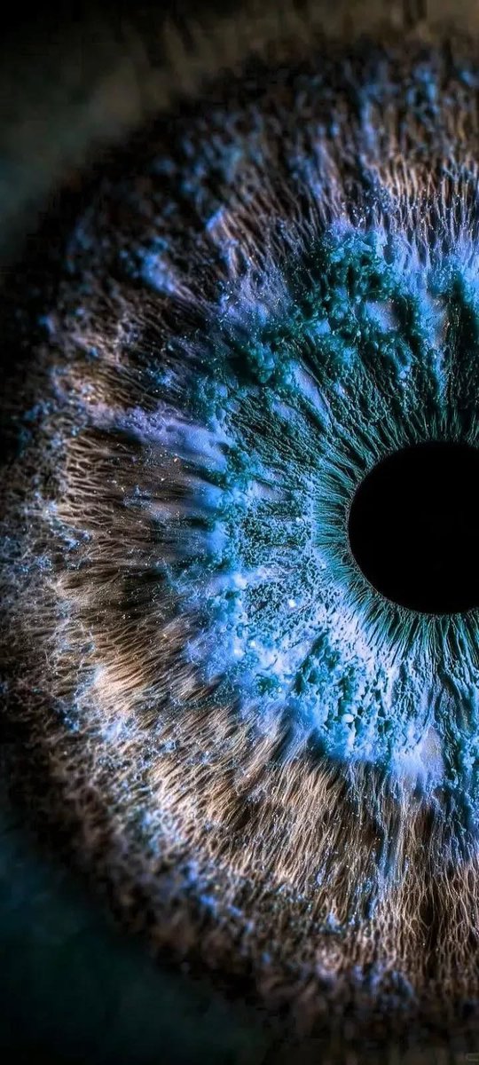 OurinIza's tweet photo. I see galaxies in your beautiful eyes,
endless stars drifting
through the depths of infinity.
I see your soul within your gaze,
and in its silent light,
I find a love
as vast as the universe itself. https://t.co/Op8xA676K2