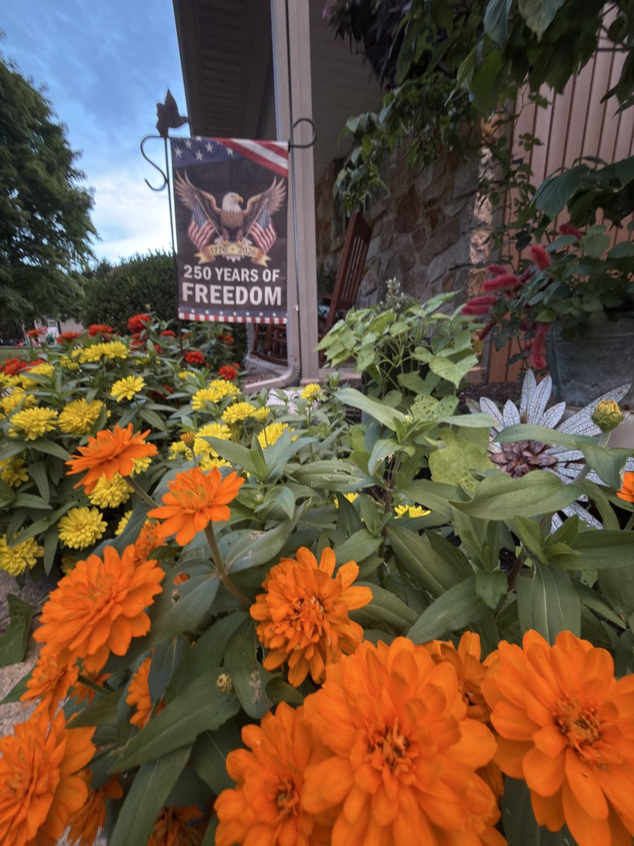 SNPirm's tweet photo. Have a happy #FlowersonFriday https://t.co/wrAAxEVJmu