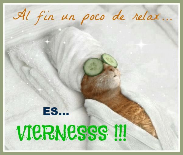 coolfunnnn's tweet photo. buenos dias https://t.co/5mWWSWUWVk