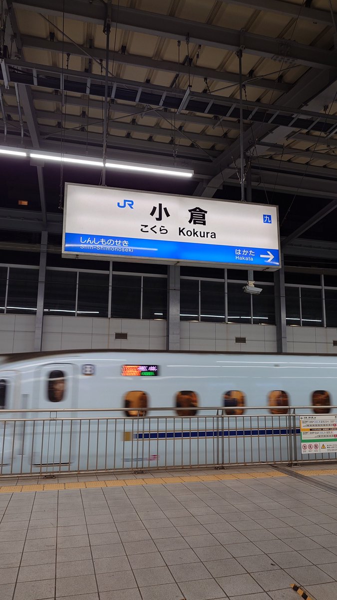 Thsc455_1's tweet photo. こくら https://t.co/e6yVqhKvk1