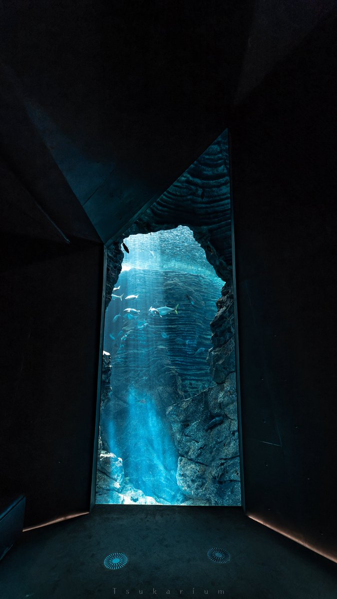 tsukarium's tweet photo. 今ペンギンの動画が話題の「上越市立水族博物館うみがたり」は、実際の海底地形データを基に1/10,000スケールで再現したジオラマ大水槽を色々な視点から見られるので最高ですよ！

ここに載せてる写真は全部大水槽をそれぞれ違う箇所から撮影したものです https://t.co/GYlXTsJbh0