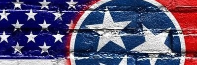 taylorbilt's tweet photo. Congratulations to @timburchett &amp; @MarshaBlackburn @VoteMarsha for their win.. Lets gooooooo Vols. #Kingsport https://t.co/1IPMl8AUng
