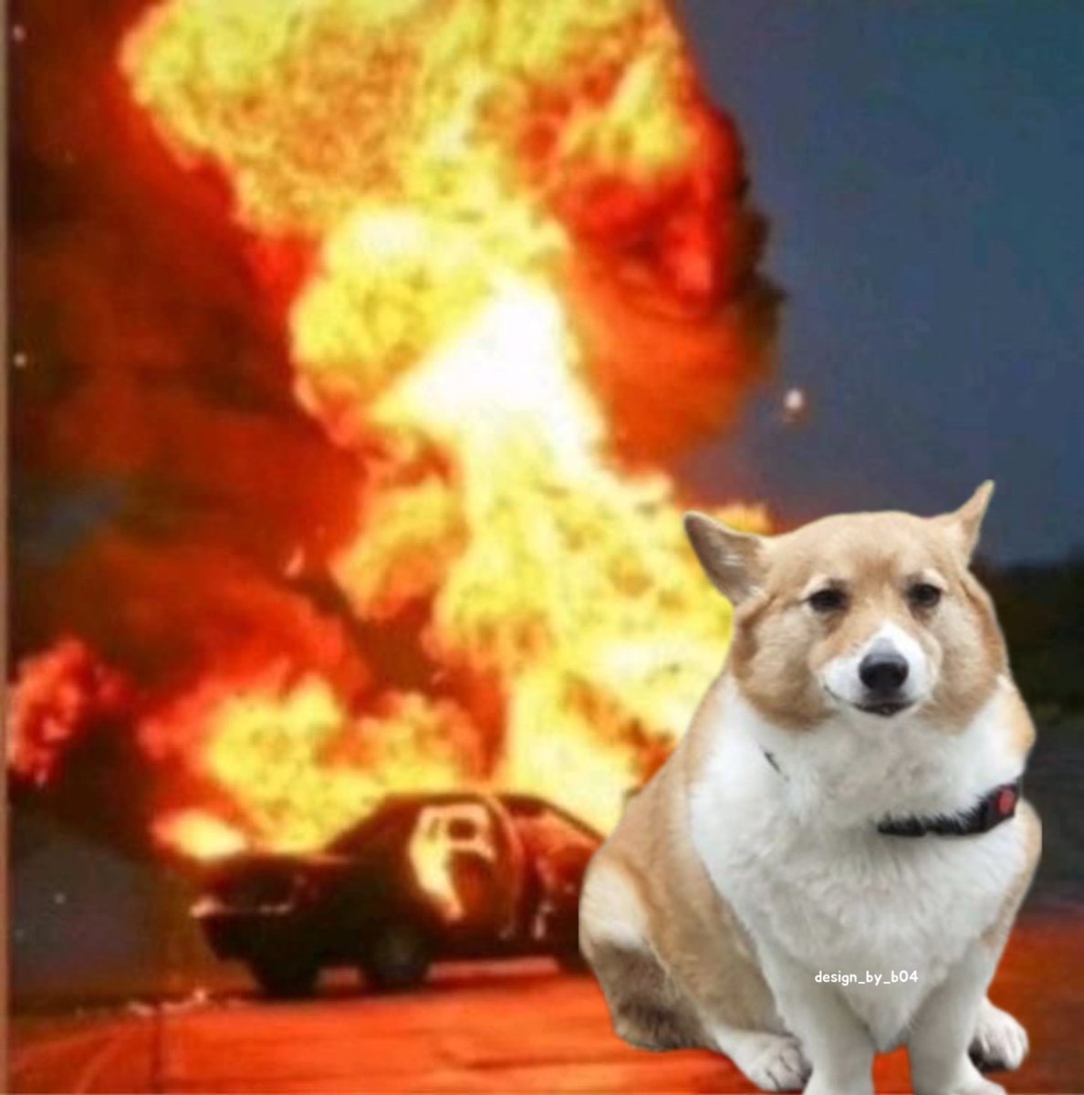 design_by_b04's tweet photo. 🔥🐶🔥 https://t.co/pKYThMXECy