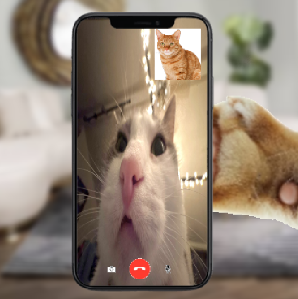 trackingvoid's tweet photo. @dew3ycat "no, mom- you have to- you have to flip the camera..." https://t.co/VpycN9AGrY