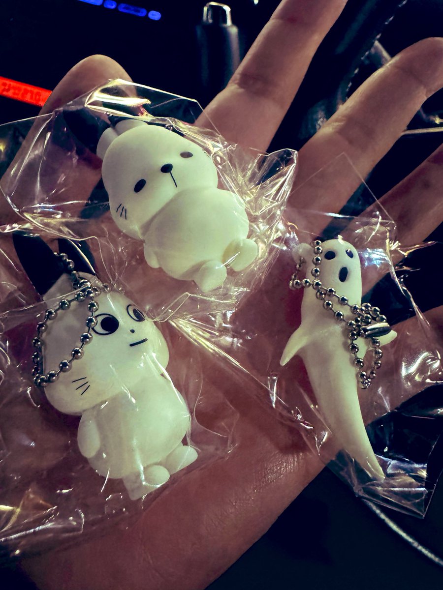 HaloS_02's tweet photo. 再々販でやっと出会えたよおぉおおお😭
再販の時に抜け殻だったとこ🥺
やったぁああ！

次はめじるし🐰 https://t.co/TJlcdGi4I5