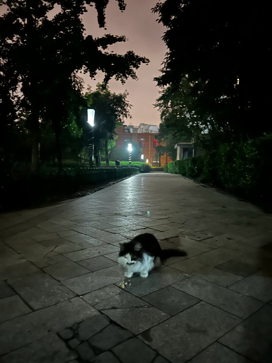 Andrew475538's tweet photo. Growth isn’t about never falling—it’s about standing up and rearranging your steps even when the path feels foggy. Small, brave moves beat big, perfect plans every time. https://t.co/iRqAfTBHpn