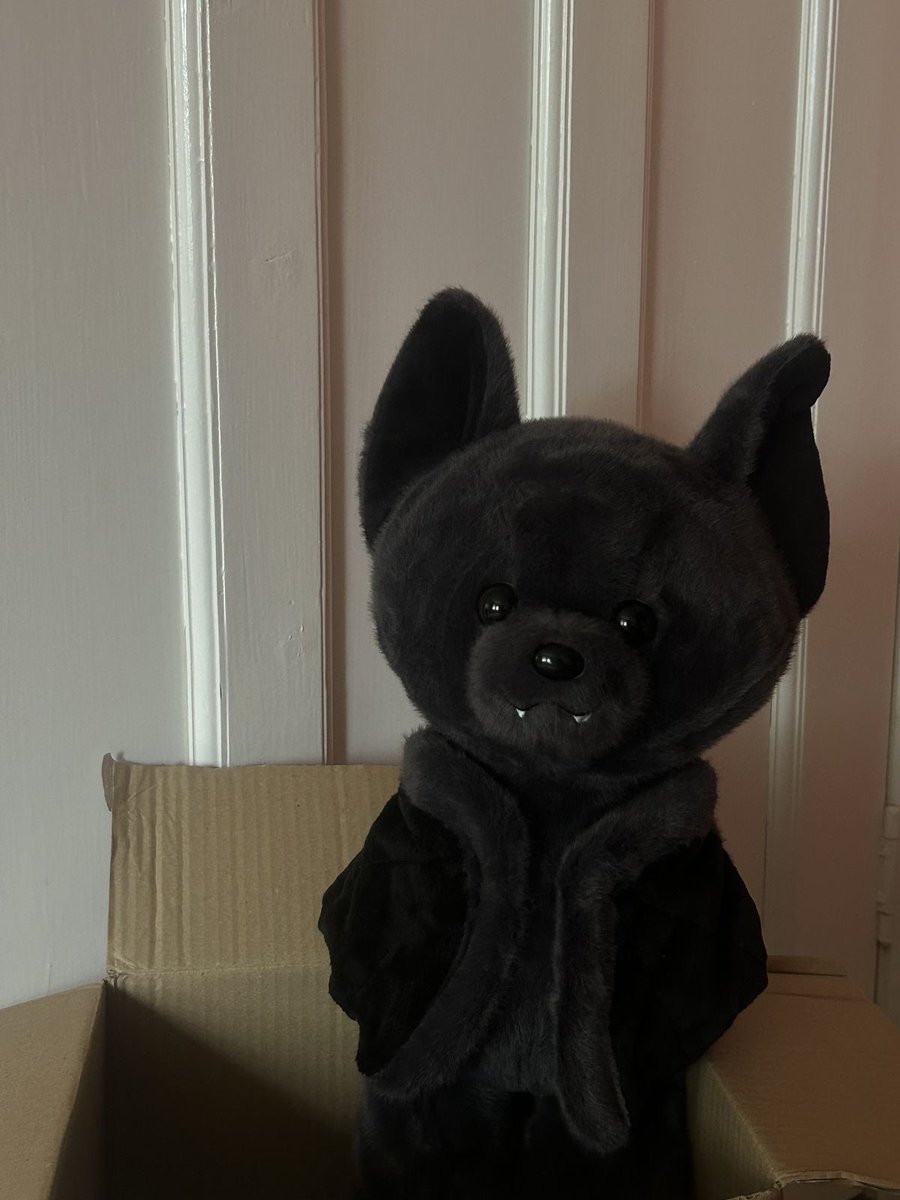 meraczi's tweet photo. i ordered the build a bear bat im so excited come home soon i miss u buddy ❤️‍🩹❤️‍🩹 https://t.co/q4KpERKWtj