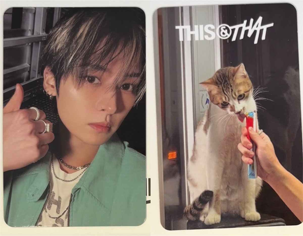 shoyoskz's tweet photo. ARIRANG FEEDING THE CAT PHOTOCARDS😭 https://t.co/qhDH3QzIVO