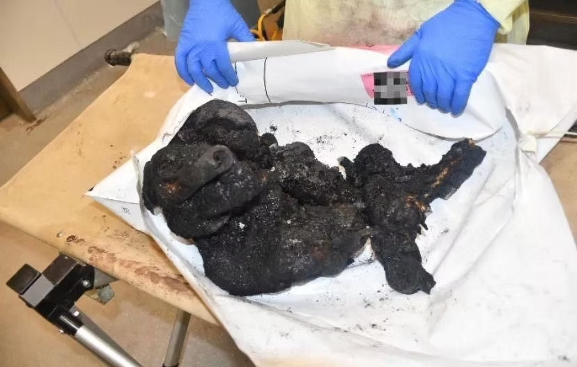 Ziazly's tweet photo. @XhammysterX @RonanArlo @Lien2045 @DrJustus @PamphletsY They burned more than just babies. This is why Gaza is rubble. https://t.co/tNzhNt76rV