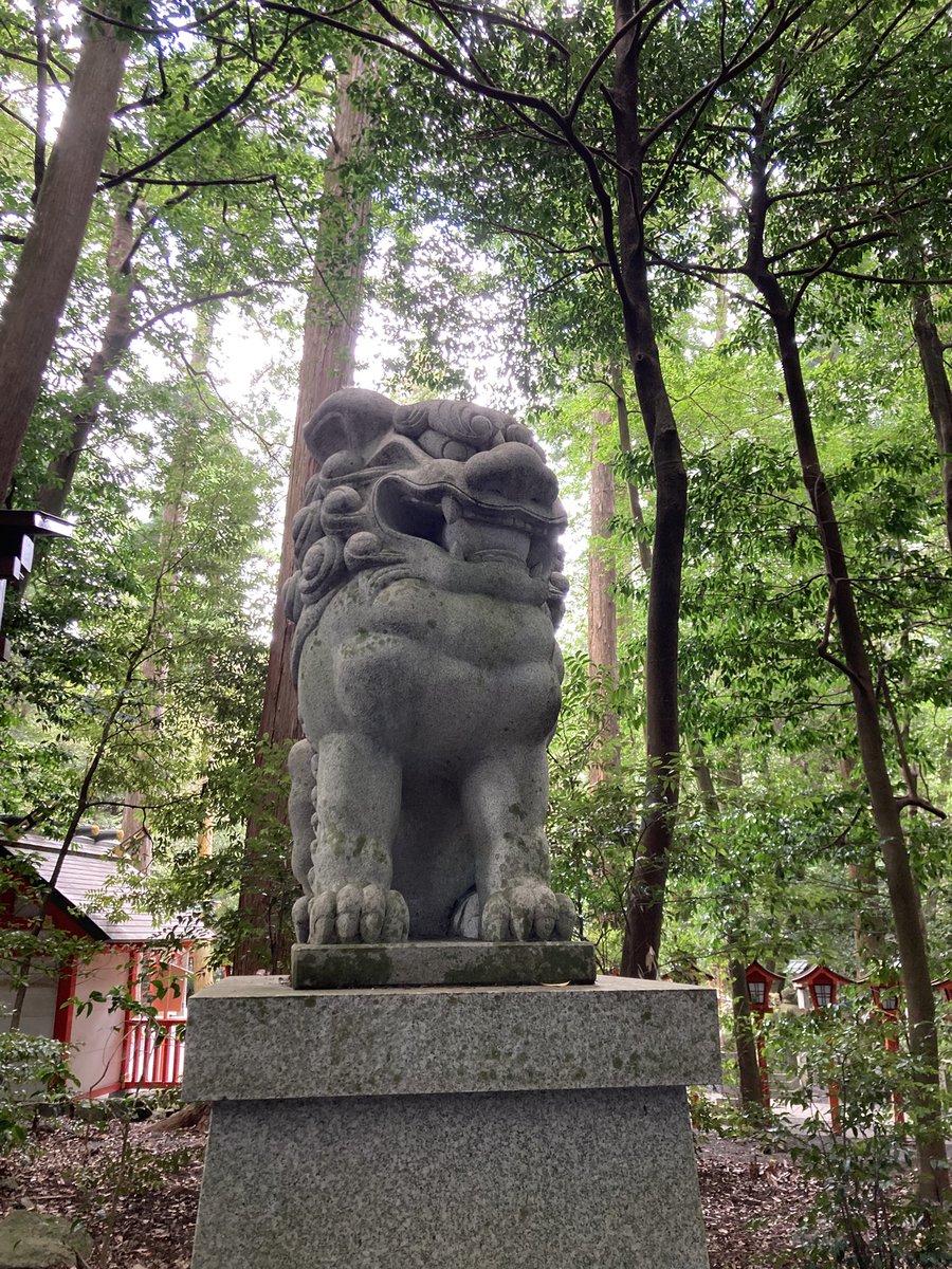 chi_chyan's tweet photo. 今日はすてきな神社へ行きました
境内がめっちゃ涼しくてビックリ‼️ https://t.co/4jtNMcseB5