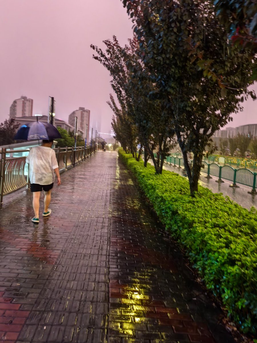 SandySpensu5aa's tweet photo. Rainy afternoon street vibes — wet asphalt glows under neon, and a stranger’s laughter passes with every passing bike. Just little moments that make the city feel alive. https://t.co/JYGrDPh2B6