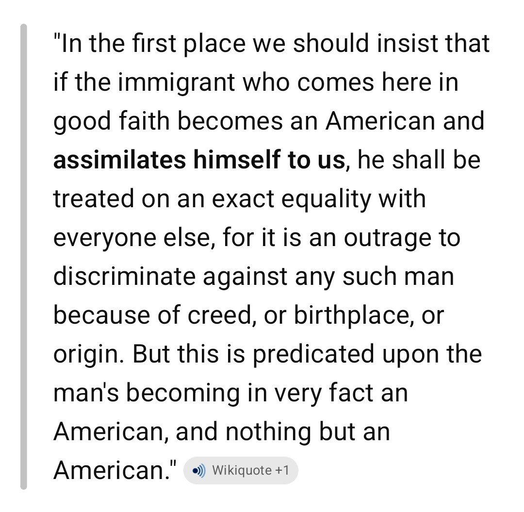 RichBrown26's tweet photo. @Milajoy Here are some quotes from Teddy Rosevelt while President during a large immigration push during his term. https://t.co/HoCLy1NKOa