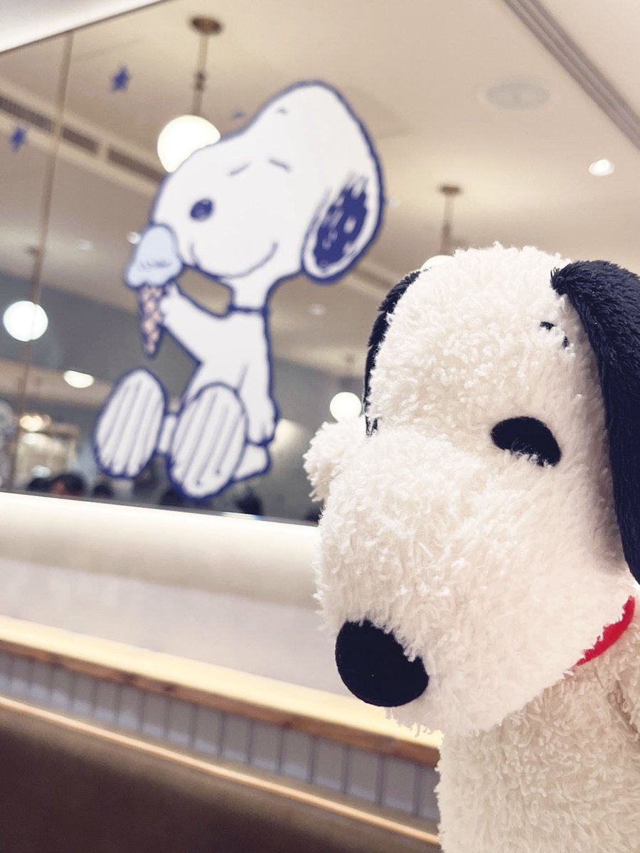 buta3buhi2's tweet photo. 優しい先輩 @9148Ustory にお付き合いいただき、PEANUTSコラボのジェラートピケカフェ表参道店にいきました📸
コラボメニューは売り切れてたのですけど、通常メニューのガレットもジェラートもおいしくてかわいい空間で大変満たされました😋 https://t.co/fhne83MRSV