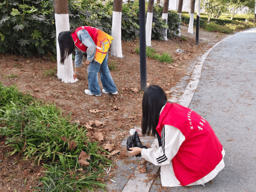NDA_ALD's tweet photo. [Join our neighborhood cleanup this Sat 9am at Central Park! Grab gloves u0026 bring friends—fresh air, community vibes, and a cleaner space for all. See you there!]， https://t.co/hB8v4ZTIfu