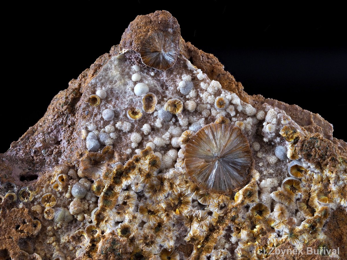 mexporg's tweet photo. Sprays of pearly #Wavellite with yellow #Cacoxenite from Třenice, Czech Republic.
FOV 25 mm
#mineral #crystal #phosphates #mineralogy #mineralexpert https://t.co/UEdeu7AtTp