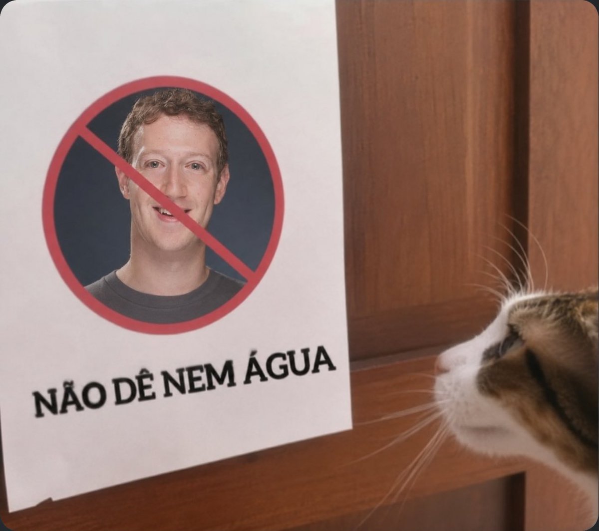 violesgarden's tweet photo. bom dia https://t.co/3KUeQiorpu