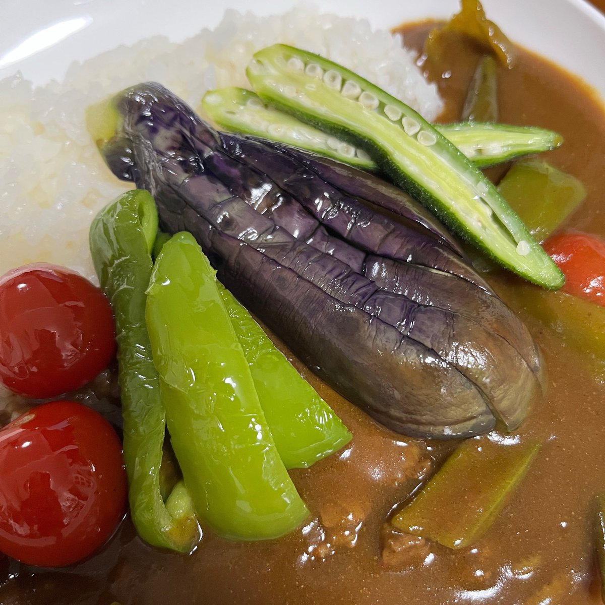 me___negi's tweet photo. 冷蔵庫にナスが残っていたのを思い出して、ひっっさしぶりにカレーが食べたくなって…なッ！ https://t.co/DdJPkKr0ge