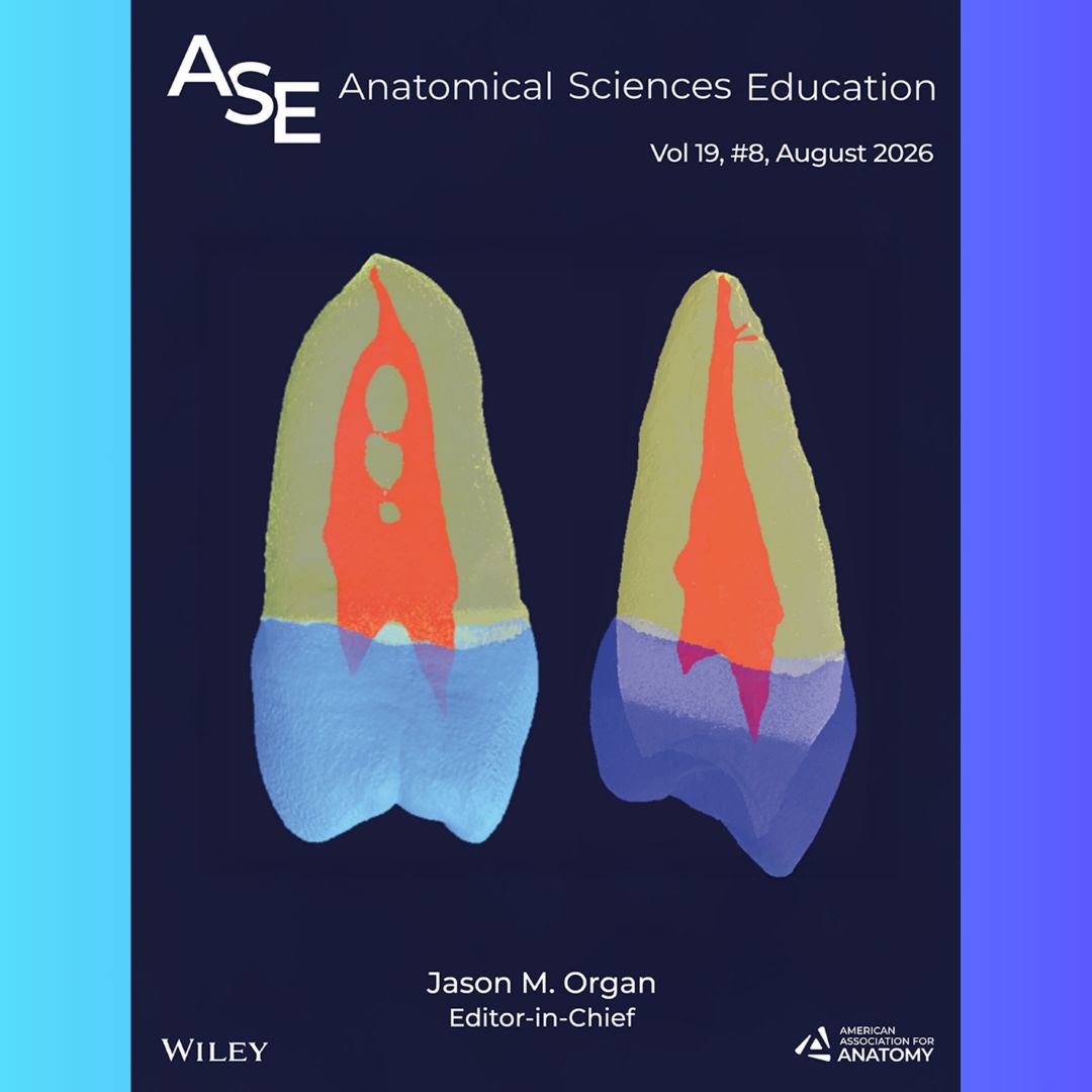AnatSciEduc's tweet photo. π¨ NEW ISSUE + #FreshFriday!
Anatomical Sciences Education Volume 19, Issue 8 is now live! Explore this week's Early View articles on anatomy image standards, educator development, gross anatomy, and more.
π https://t.co/eqQrbdMh22
#Anatomy #MedEd https://t.co/Gj0bDNY9vR