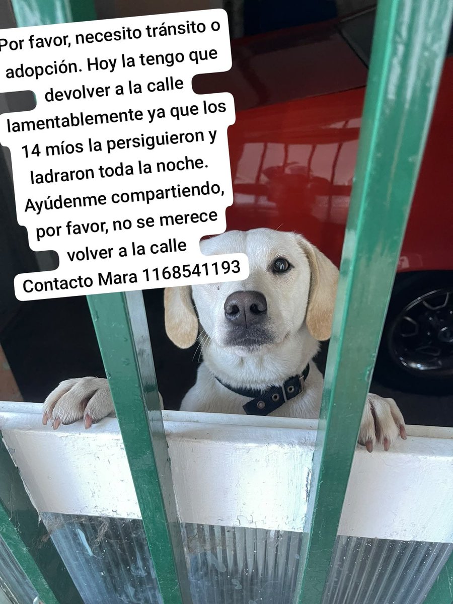 patripeyrou's tweet photo. Rt
Difundimos https://t.co/oVei0DJtQG