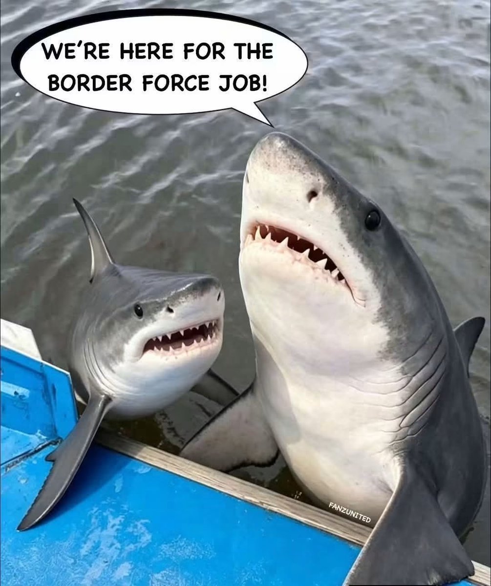 daveatherton's tweet photo. Made me laugh 😃 https://t.co/OtCtjjVvKv