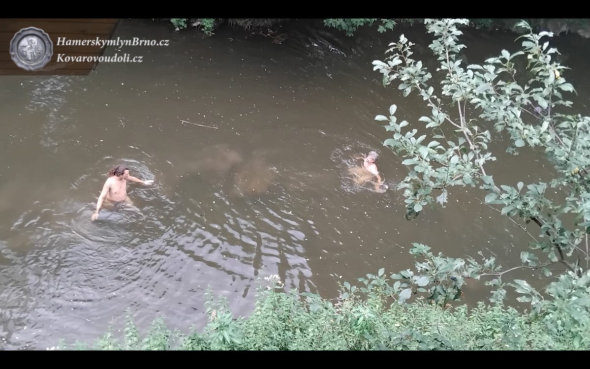 BulvarART's tweet photo. Řeka Svitava...
Der Fluss Svitava...
The Svitava River...
Rivière Svitava...
Il fiume Svitava...
Río Svitava...

https://t.co/n3Jtk4i3yg
https://t.co/TOXK7JEfkh
https://t.co/Jzx3Bvs6kS
https://t.co/xNkzCwl0QF
https://t.co/ZsO4ZEwTUC
https://t.co/AkZdrYtyk8
https://t.co/5Y8tBPp1fL
https://t.co/pb7y3hFSnK
https://t.co/XlohMXzjiV

#kovarovoudoli #hamerskymlynbrno #blacksmithvalley #ifaistia #hammerdesign #moravskesvycarsko #mährischeschweiz #schmiedetal #hamermühlebrünn #hamermillbrno #moravianswitzerland #lemoulinhamerbrno #mulinohamerbrno #svizzeramoravia #suissemoravia #vallefabbro #lavalléedesforgerons #valledelherrero #molinodeherrerodebrno #suizademoravia
