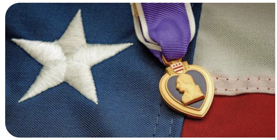 txdemvets tweet picture
