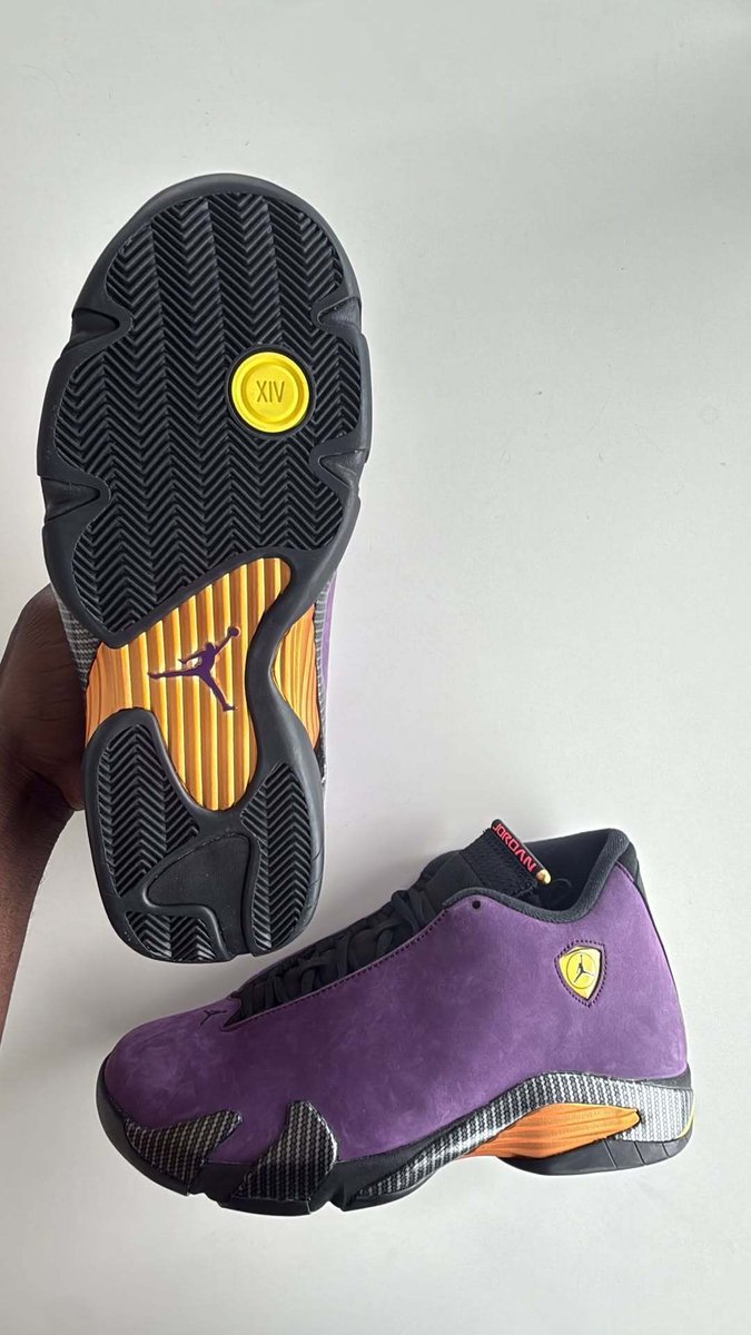 JustFreshKicks's tweet photo. Unreleased "Purple" Air Jordan 14 😈🔥 @NigelSylvester https://t.co/DVqSu4Xrww