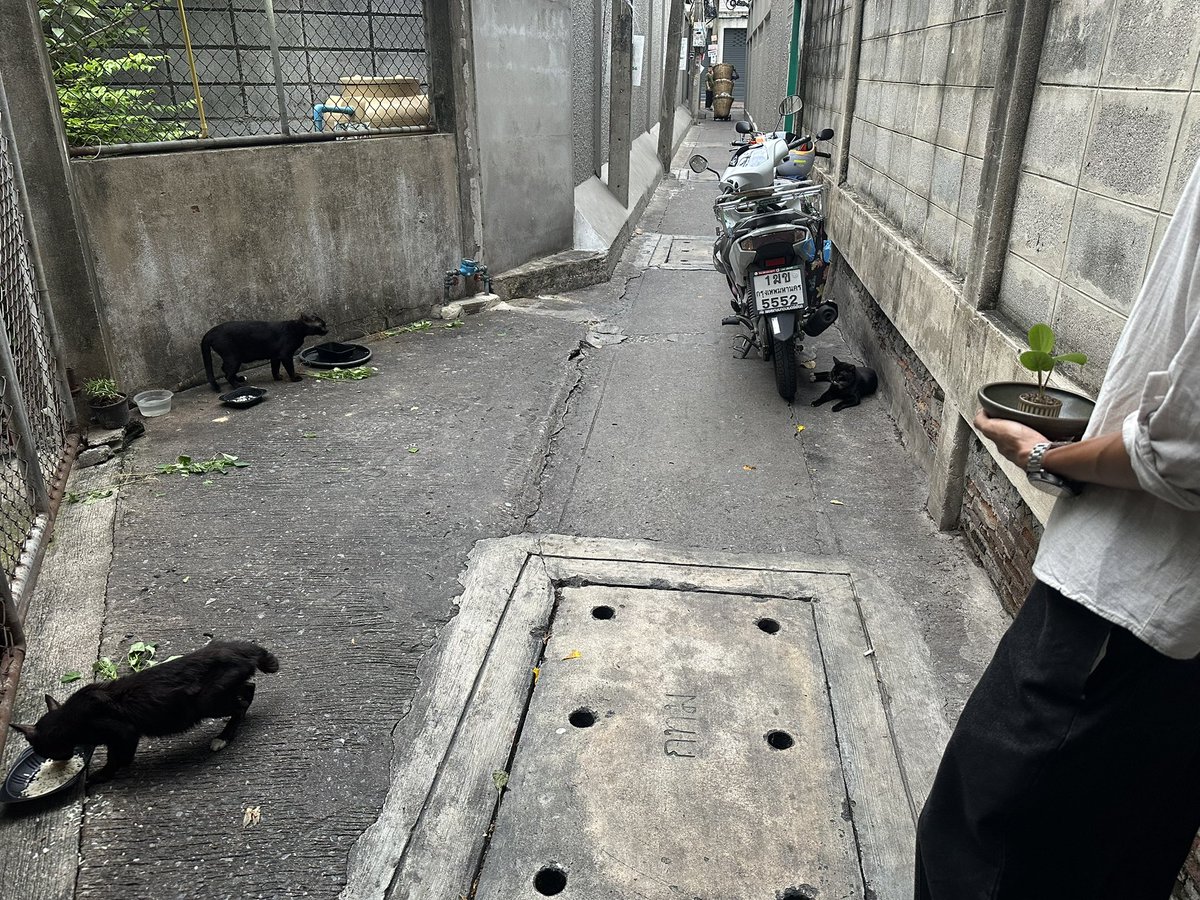 puppybkk's tweet photo. https://t.co/pJfydtsEiC