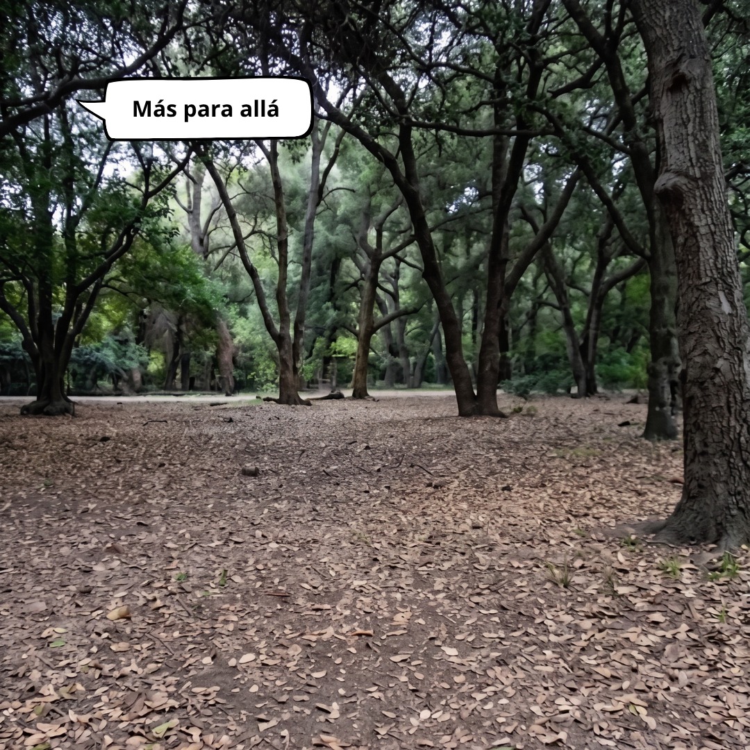 CONAFOR's tweet photo. Acércate, tenemos algo que decirte 👇

🐿️México es un país forestal, el 70% de su territorio cuenta con cobertura de algún tipo de vegetación forestal. https://t.co/n31FVl19kM