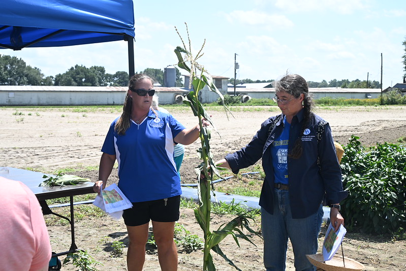 UDcanr's tweet photo. Agriculture stakeholders joined @UDExtension  experts at the @udelaware Carvel Open House and Crop Tour in Georgetown for crop trial tours, poultry health updates, field food safety demos and of course, @UDairyCreamery ice cream! #agriculture #UDext #netde https://t.co/x2mMI8NHfy https://t.co/POLS7zWmuw
