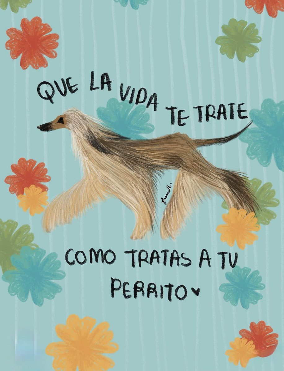 madeleinosa's tweet photo. 🐶❤️ https://t.co/7C9mKp1j7Y