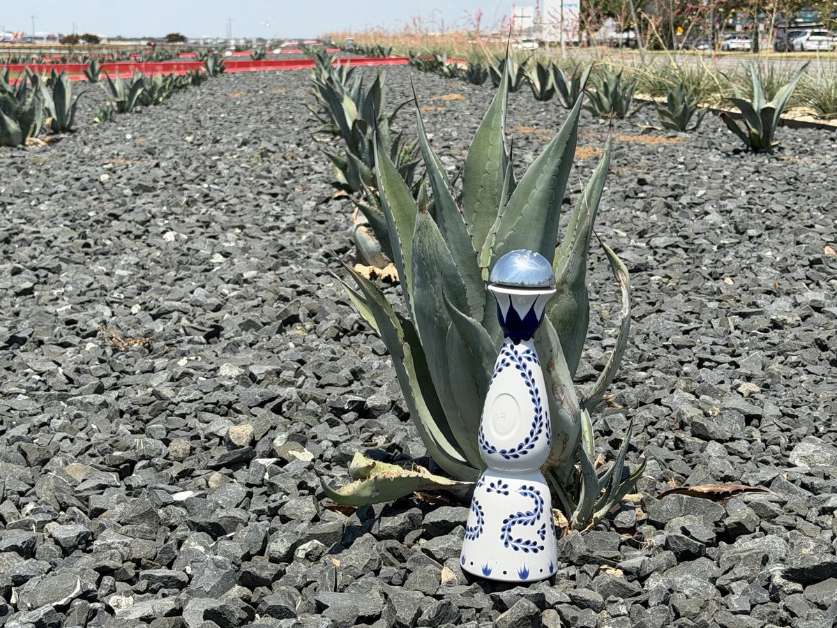 TisbyJr's tweet photo. I’m thirsty https://t.co/zQz6zmo7VK