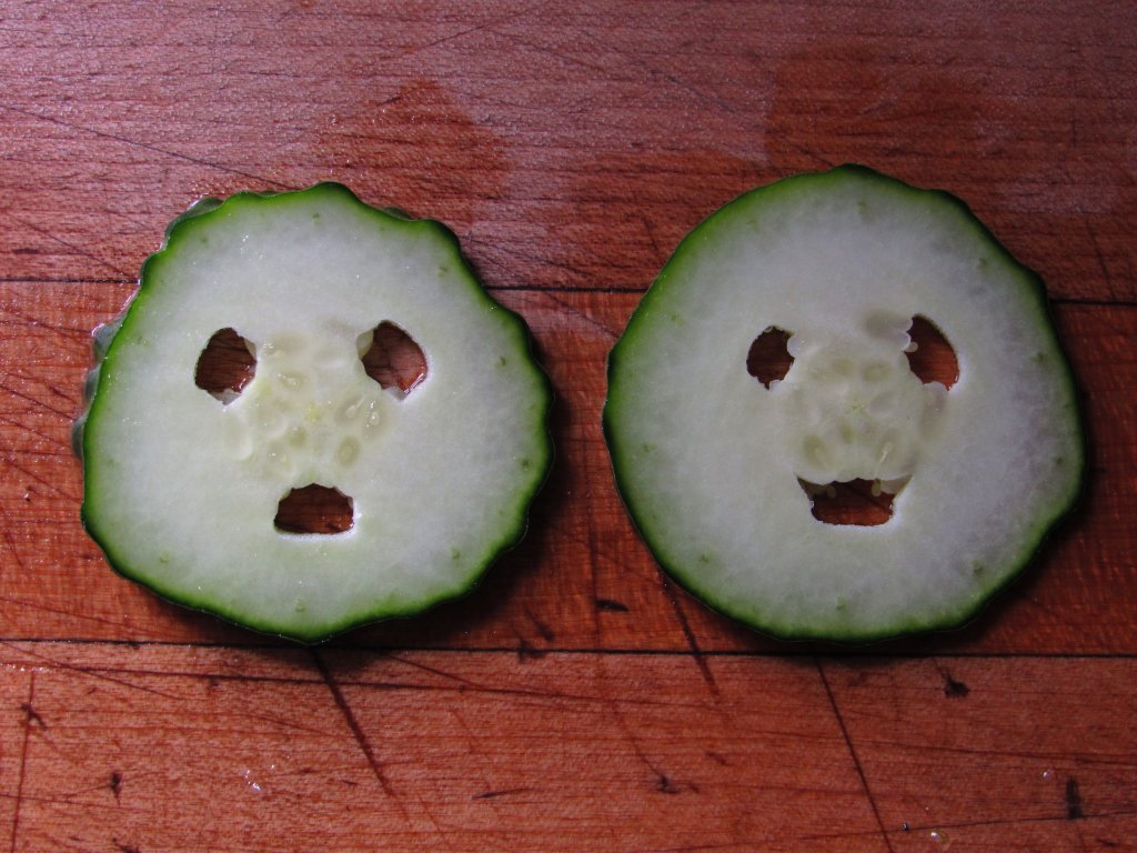 Cordsofpenance's tweet photo. So... Are you the left one or the right one today?
#CuteCumbers https://t.co/gDi0PdgqK6