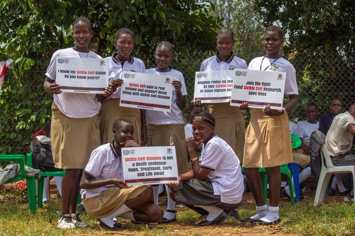 SickleClinician's tweet photo. When we educate students on sickle cell disease today, we prevent misconceptions tomorrow. 

When we promote genotype screening early, we help reduce the number of children born with  the condition in the future.

Knowledge is prevention. Screening is empowerment.
@HumNabimanya https://t.co/WqFfvzsyqQ