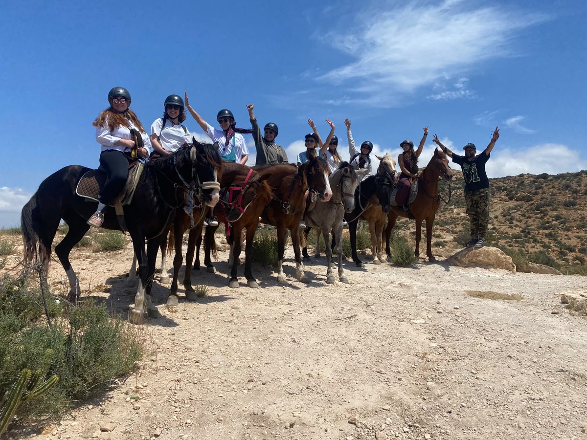 ChevalZina47294's tweet photo. Horseback riding expérience in agadir Taghazout bay Morocco WhatsApp212660739222 https://t.co/wU1vIVSQGU