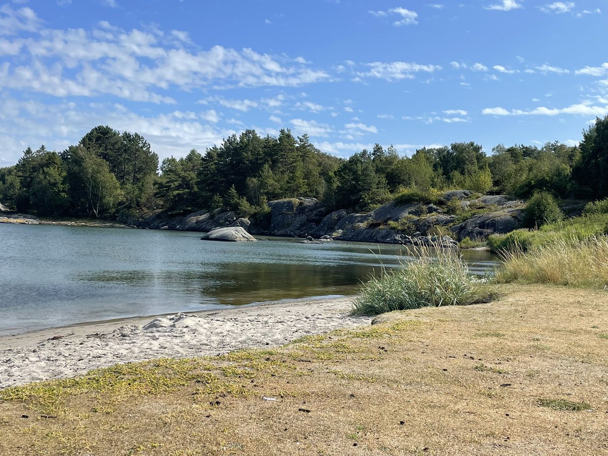 lynne_drummond's tweet photo. Today i went for an #openwaterswim from one beach to a bay half a mile away and was stung badly by #jellyfish 😱Beautiful place but now in pain . In beautiful #Sweden https://t.co/r7uKBOLuzX